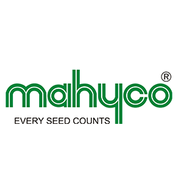 Seed Brand 4